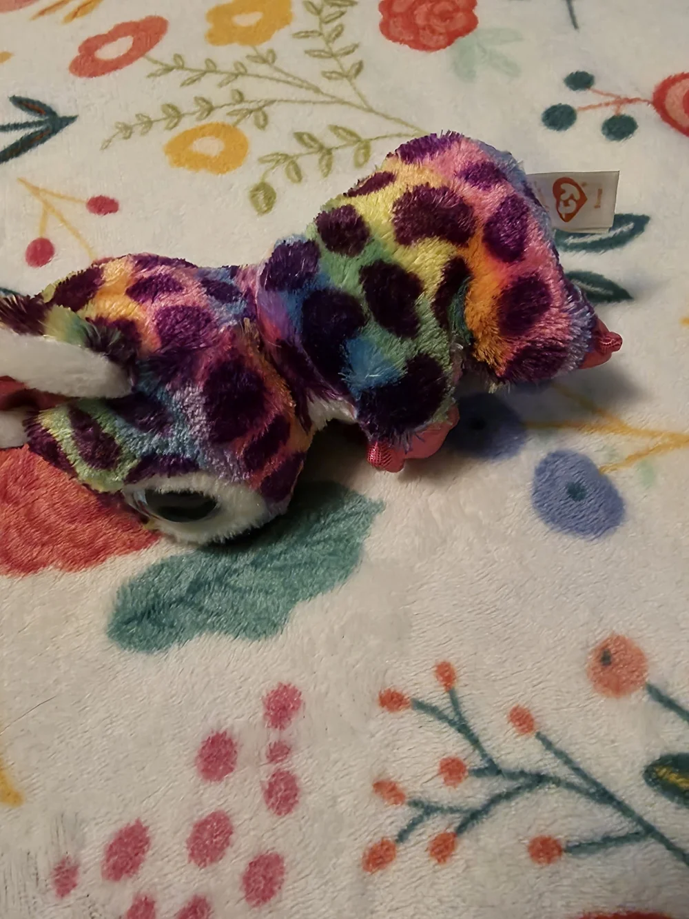 Ty colorful plush
